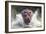 I'm Going to Get You!!-Wayne Pearson-Framed Photographic Print