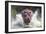 I'm Going to Get You!!-Wayne Pearson-Framed Photographic Print