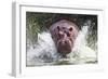 I'm Going to Get You!!-Wayne Pearson-Framed Photographic Print