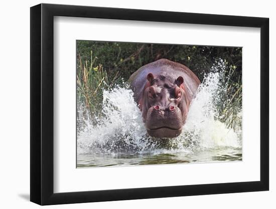 I'm Going to Get You!!-Wayne Pearson-Framed Photographic Print