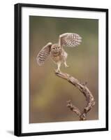 I'm Just A Gigalo-Amnon Eichelberg-Framed Giclee Print