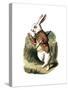 "I'm Late" Alice in Wonderland White Rabbit by John Tenniel-Piddix-Stretched Canvas