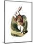 "I'm Late" Alice in Wonderland White Rabbit by John Tenniel-Piddix-Mounted Art Print