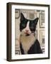 I’m Listening-Diane Hoeptner-Framed Art Print