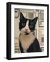 I’m Listening-Diane Hoeptner-Framed Art Print