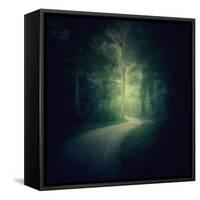 I'M Losing You-Philippe Sainte-Laudy-Framed Stretched Canvas