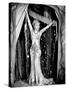 I'm No Angel, Mae West, 1933-null-Stretched Canvas
