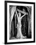 I'm No Angel, Mae West, 1933-null-Framed Photo