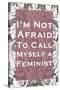 I'm Not Afraid to Call Myself a Feminist-null-Stretched Canvas