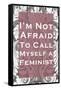 I'm Not Afraid to Call Myself a Feminist-null-Framed Stretched Canvas