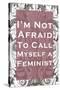 I'm Not Afraid to Call Myself a Feminist-null-Stretched Canvas