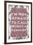 I'm Not Afraid to Call Myself a Feminist-null-Framed Art Print