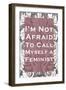 I'm Not Afraid to Call Myself a Feminist-null-Framed Art Print