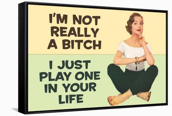 I'm Not Really a Bitch I Just Play One in Your Life Funny Poster Print-Ephemera-Framed Stretched Canvas