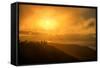 I'm On Fire, Misty Sun at Marin Headlands, San Francisco-Vincent James-Framed Stretched Canvas