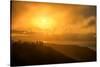 I'm On Fire, Misty Sun at Marin Headlands, San Francisco-Vincent James-Stretched Canvas