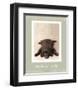 I'm Thrilled-Rachael Hale-Framed Premium Giclee Print