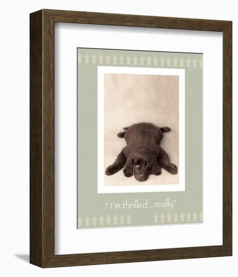 I'm Thrilled-Rachael Hale-Framed Premium Giclee Print