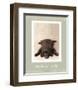 I'm Thrilled-Rachael Hale-Framed Premium Giclee Print