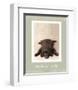 I'm Thrilled-Rachael Hale-Framed Premium Giclee Print