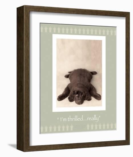 I'm Thrilled-Rachael Hale-Framed Premium Giclee Print