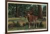 I'm Wild About Ashland, Oregon - Vintage Postcard-Lantern Press-Framed Art Print