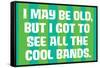 I May Be Old but I Got to See All the Cool Bands Funny Art Poster Print-Ephemera-Framed Stretched Canvas