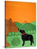 I Meet A Bear Black-Stephen Huneck-Stretched Canvas