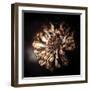 I Need Some Time-Philippe Sainte-Laudy-Framed Photographic Print