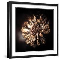 I Need Some Time-Philippe Sainte-Laudy-Framed Photographic Print