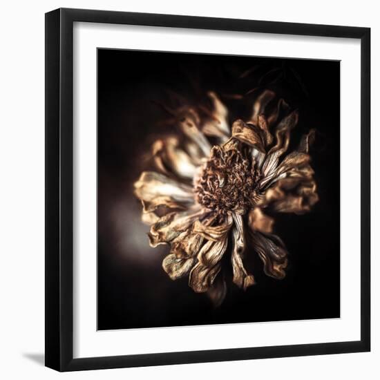 I Need Some Time-Philippe Sainte-Laudy-Framed Photographic Print