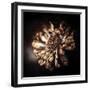 I Need Some Time-Philippe Sainte-Laudy-Framed Photographic Print