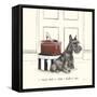 I Never Met A Shoe I Didn't Like-Alex Clark-Framed Stretched Canvas