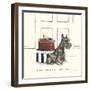 I Never Met A Shoe I Didn't Like-Alex Clark-Framed Art Print