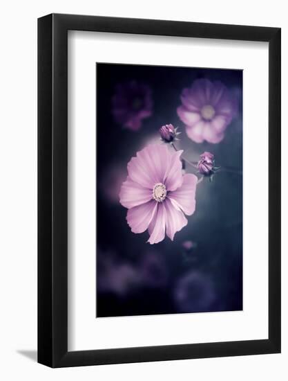 I Put A Spell On You-Philippe Sainte-Laudy-Framed Photographic Print