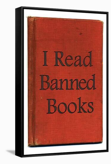 I Read Banned Books Poster Print-null-Framed Stretched Canvas