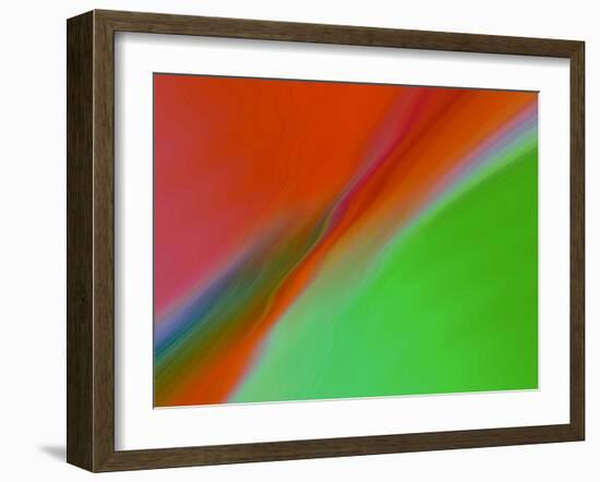 I See Color II-Ruth Palmer-Framed Art Print