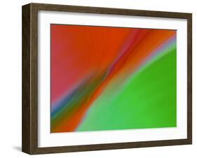 I See Color II-Ruth Palmer-Framed Art Print