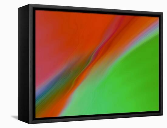 I See Color II-Ruth Palmer-Framed Stretched Canvas