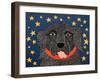 I See Stars-Stephen Huneck-Framed Giclee Print