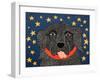 I See Stars-Stephen Huneck-Framed Giclee Print