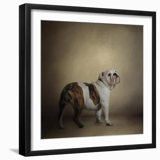 I Think I Smell a Treat Bulldog-Jai Johnson-Framed Premium Giclee Print