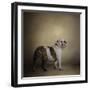 I Think I Smell a Treat Bulldog-Jai Johnson-Framed Premium Giclee Print