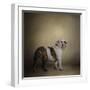 I Think I Smell a Treat Bulldog-Jai Johnson-Framed Premium Giclee Print