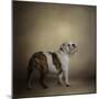 I Think I Smell a Treat Bulldog-Jai Johnson-Mounted Premium Giclee Print