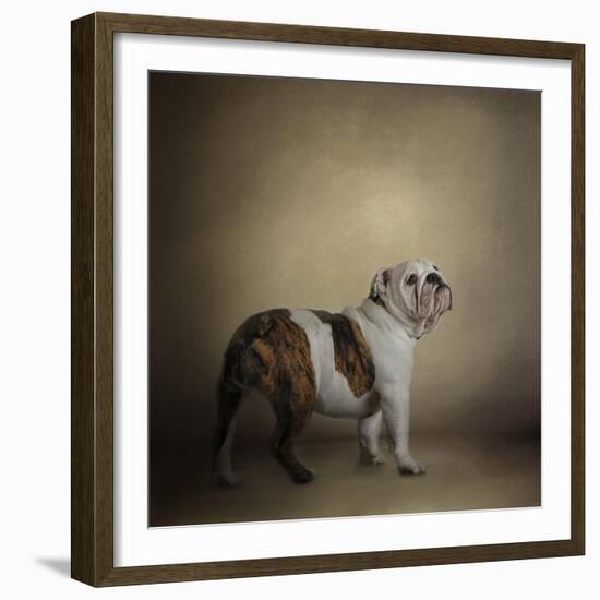 I Think I Smell a Treat Bulldog-Jai Johnson-Framed Giclee Print