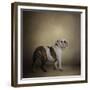 I Think I Smell a Treat Bulldog-Jai Johnson-Framed Giclee Print