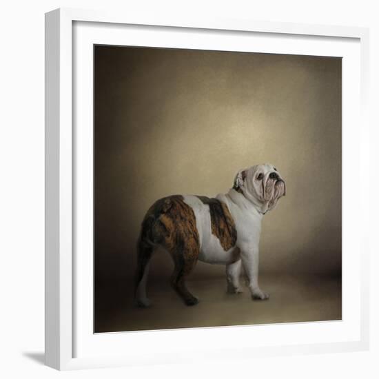 I Think I Smell a Treat Bulldog-Jai Johnson-Framed Giclee Print