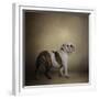 I Think I Smell a Treat Bulldog-Jai Johnson-Framed Giclee Print