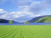 Loch Ness from the Western End, Highlands Region, Scotland, UK, Europe-I Vanderharst-Photographic Print